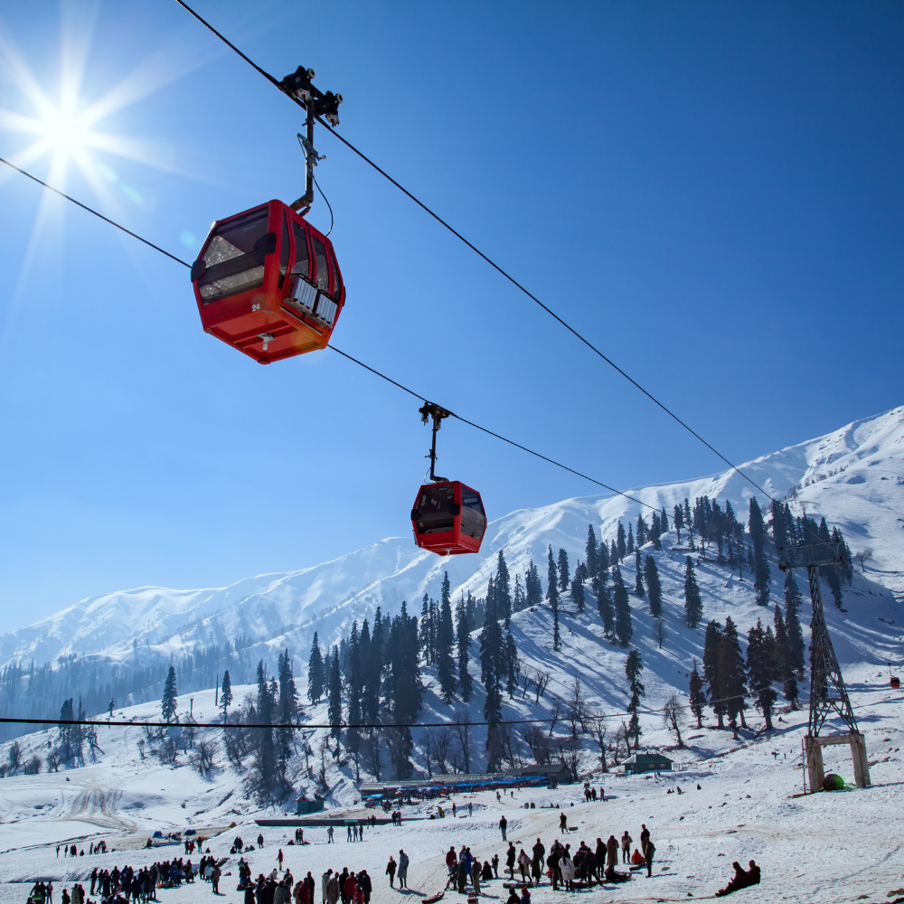 Gulmarg The Majestic Meadow of Flowers