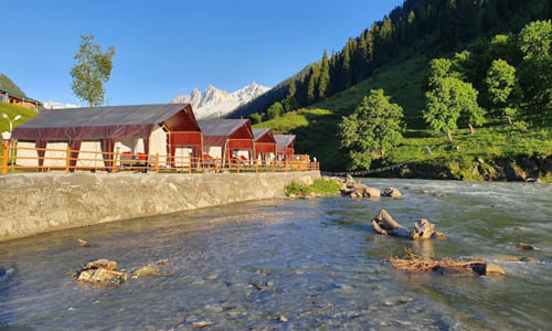 hotel-green-glamping-resort-sonmarg-1