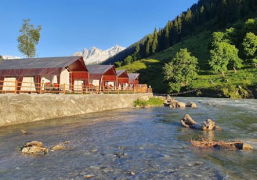 hotel-green-glamping-resort-sonmarg-1